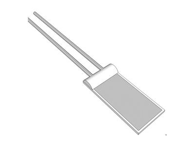 IST RTD溫度傳感器 / 鉑電阻 / 2線式/快速響應(yīng)式